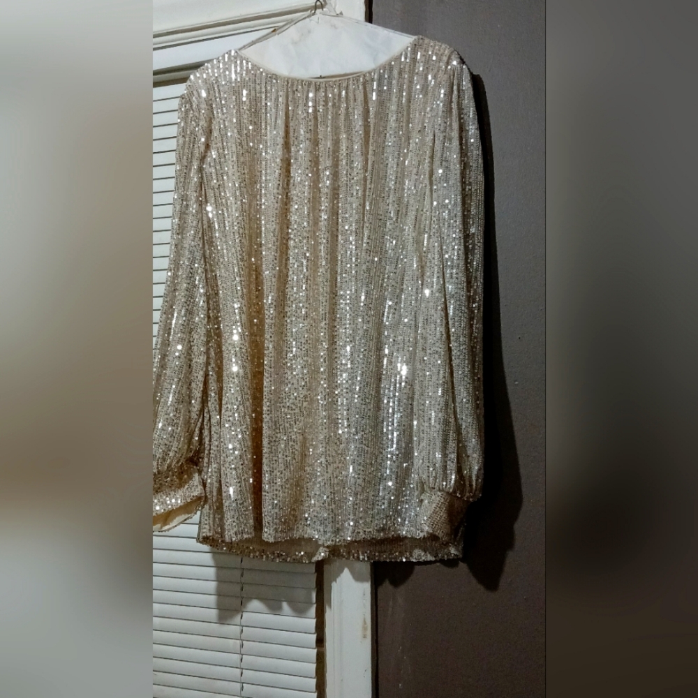 Shimmering Gold Sequin Blouse